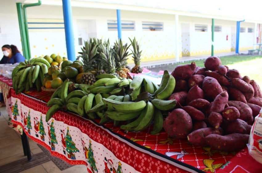 Prefeitura divulga resultado de edital para aquisição de alimentos da agricultura familiar