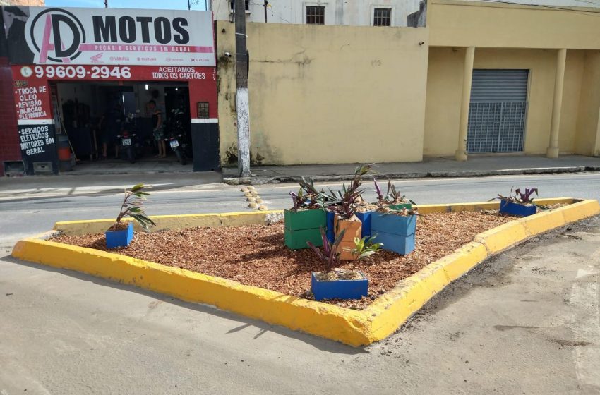 Prefeitura realiza arborização em canteiros do bairro do Jacintinho