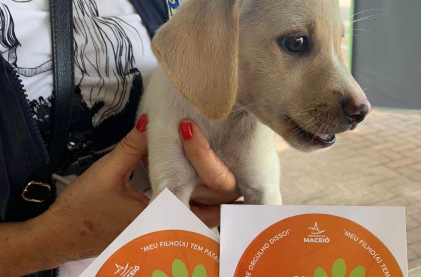 Gabinete da Causa Animal estimula acolhimento responsável de pets  através das feiras de adoção
