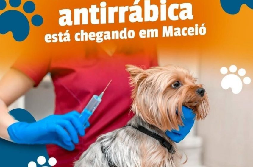 Confira horários e locais da vacinação antirrábica em Maceió