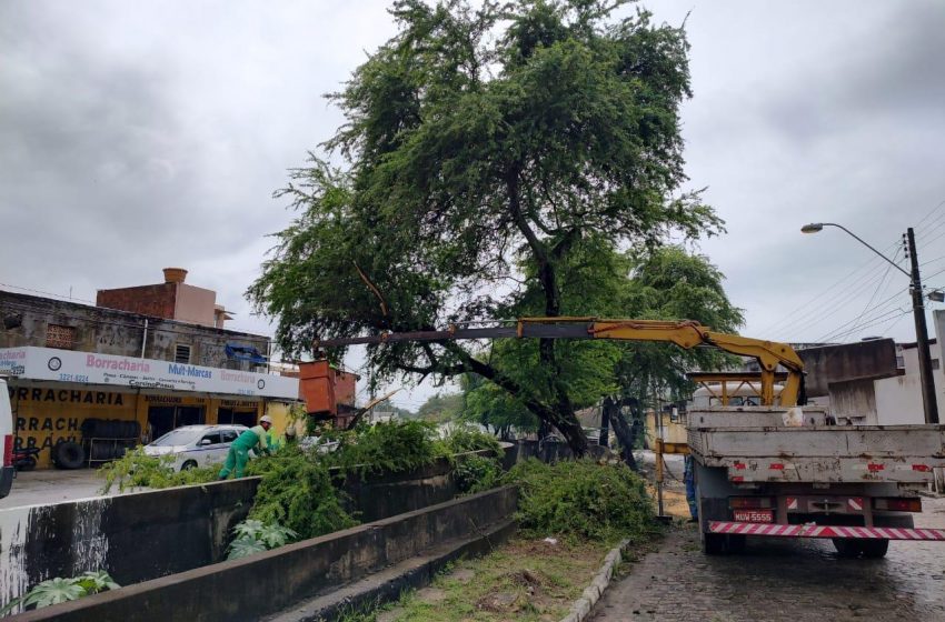 Limpeza realizada pela Prefeitura de Maceió reduziu prejuízos causados pelas chuvas à população
