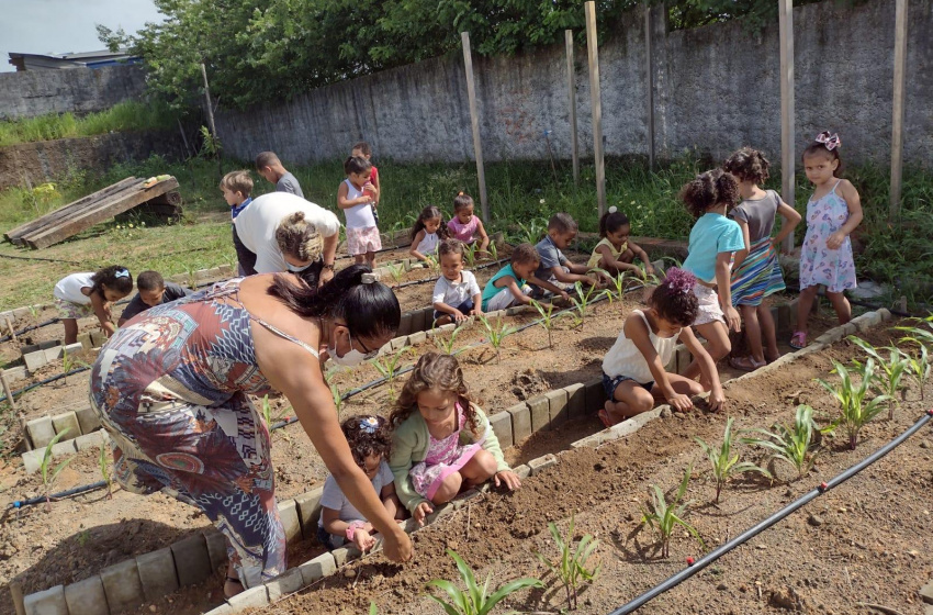 Creche municipal promove projeto ambiental para aproximar as crianças do meio ambiente