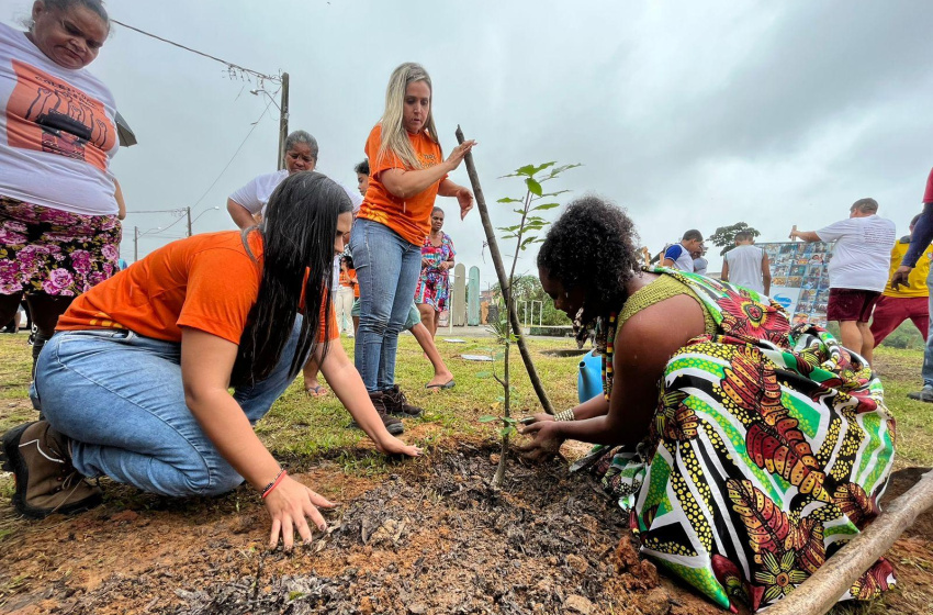 Dia Nacional do Baobá é celebrado com o plantio do espécime no bairro Benedito Bentes