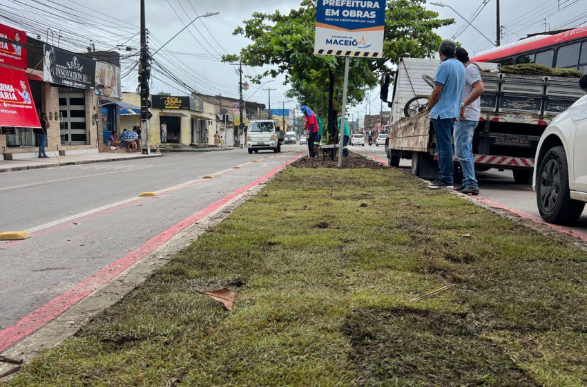 Canteiro da avenida principal do Benedito Bentes II recebe serviços de paisagismo