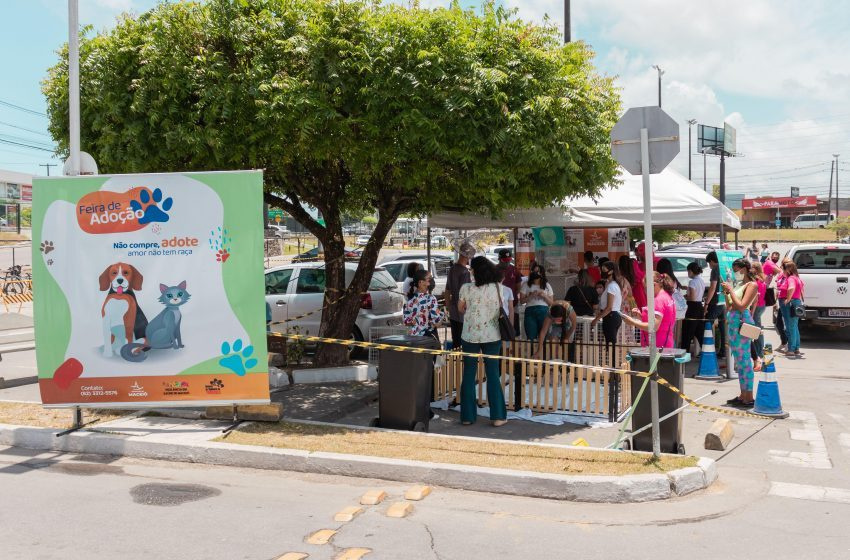 Com feiras de adoção, Prefeitura de Maceió garante lar para centenas de pets