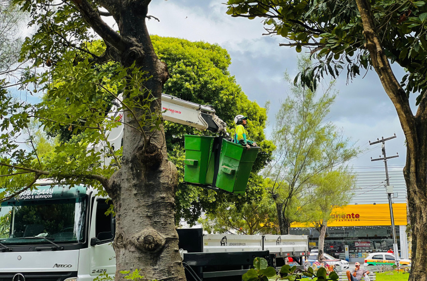 Prefeitura intensifica poda de árvores para prevenir transtornos na quadra chuvosa