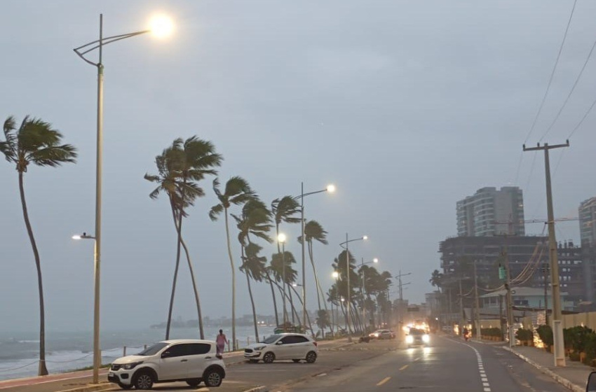 Ilumina Maceió alerta sobre cuidados com a rede elétrica