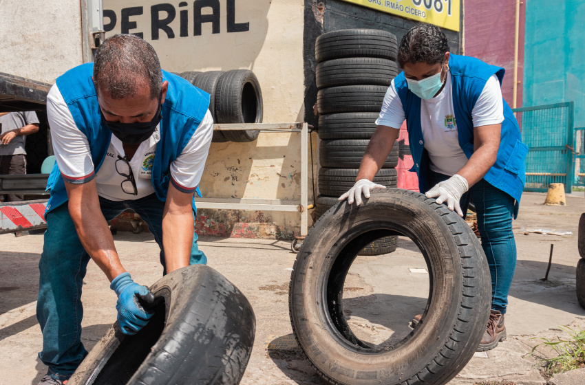 Mutirão de combate à dengue em Maceió começa segunda-feira (29)