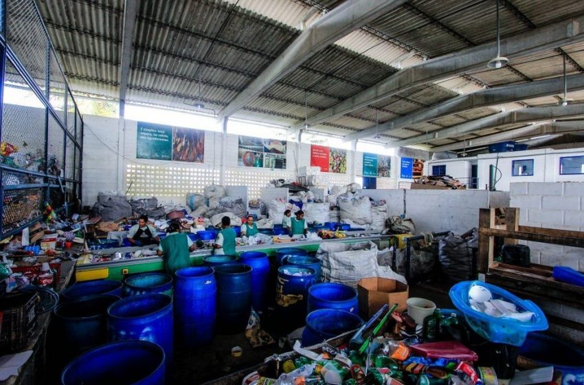 Dia da Reciclagem: cooperativas recolhem 100 toneladas de materiais por mês
