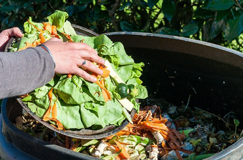 Processo de compostagem contribui para reutilizar rejeitos e resíduos
