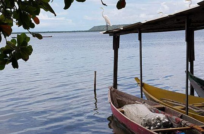 Defesa Civil alerta para risco de inundação em regiões próximas à Lagoa Mundaú