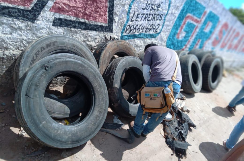 Secretaria de Saúde promove Dia D de combate ao Aedes aegypti em Maceió