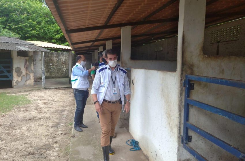Vigilância Sanitária notifica haras em Maceió com irregularidades na criação dos animais