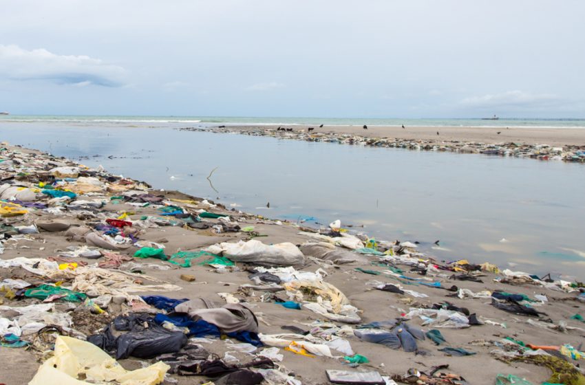 Limpeza na praia da Avenida retira 700 toneladas de lixo da foz do Salgadinho