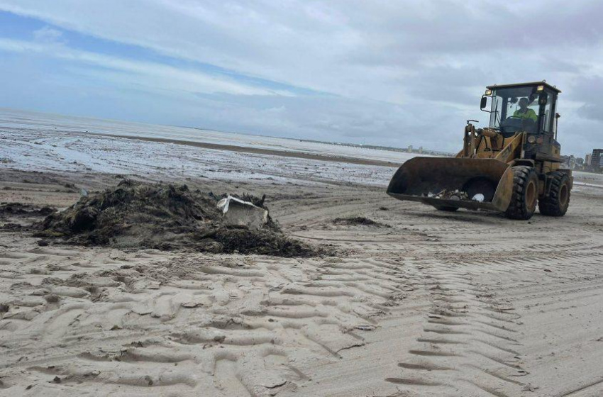 Prefeitura de Maceió recolhe mais de 600 toneladas de lixo na Praia da Avenida
