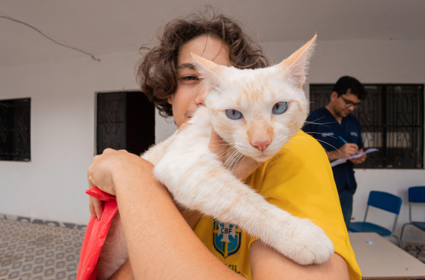 Castramóvel faz atendimento a cães e gatos no bairro Petrópolis