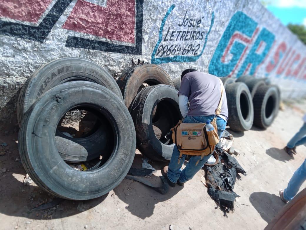 Secretaria de Saúde promove Dia D de combate ao Aedes aegypti em Maceió